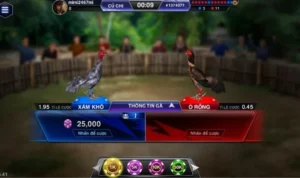 Đá Gà 3D Tại 89Bet