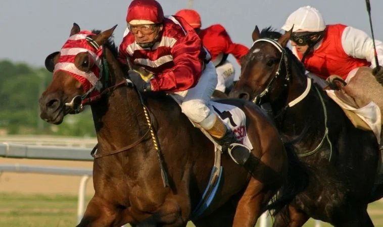 đua ngựa 89Bet